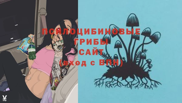 ешки Белокуриха
