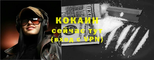 индика Беломорск