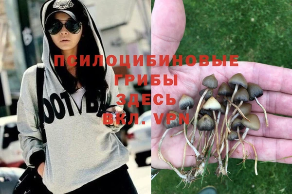 ECSTASY Белоозёрский