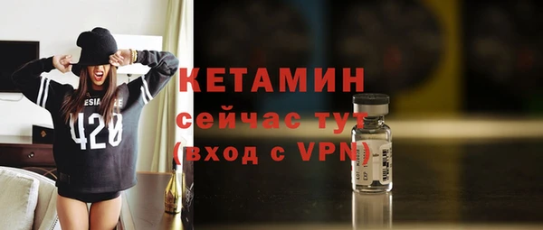 индика Беломорск