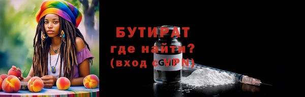индика Беломорск