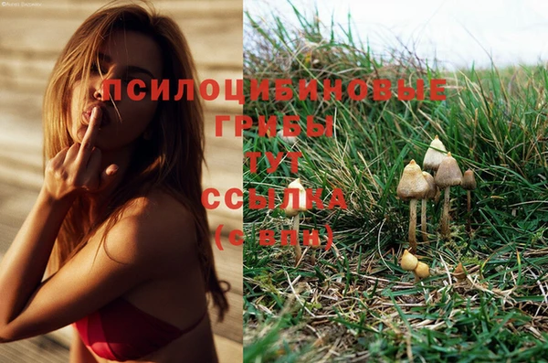 ECSTASY Белоозёрский