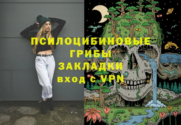 индика Беломорск