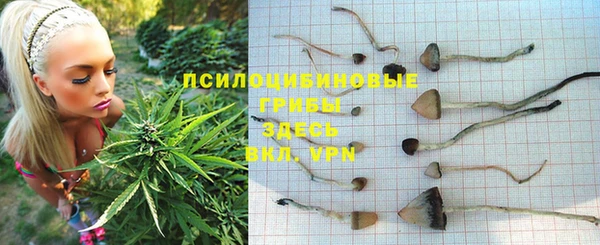 ешки Белокуриха