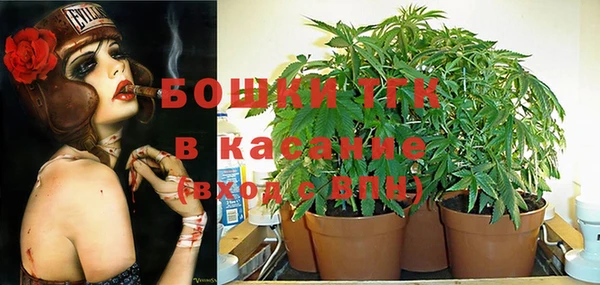 индика Беломорск