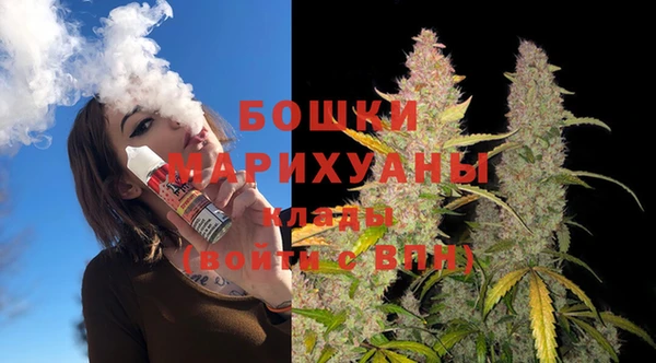 индика Беломорск