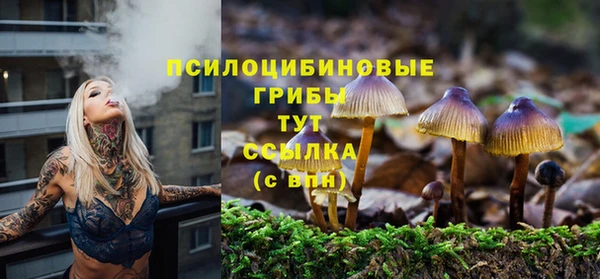 ECSTASY Белоозёрский