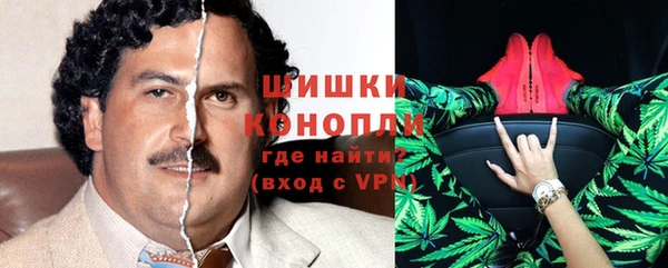 индика Беломорск