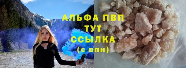 ешки Белокуриха
