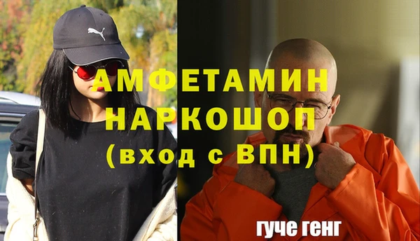 индика Беломорск